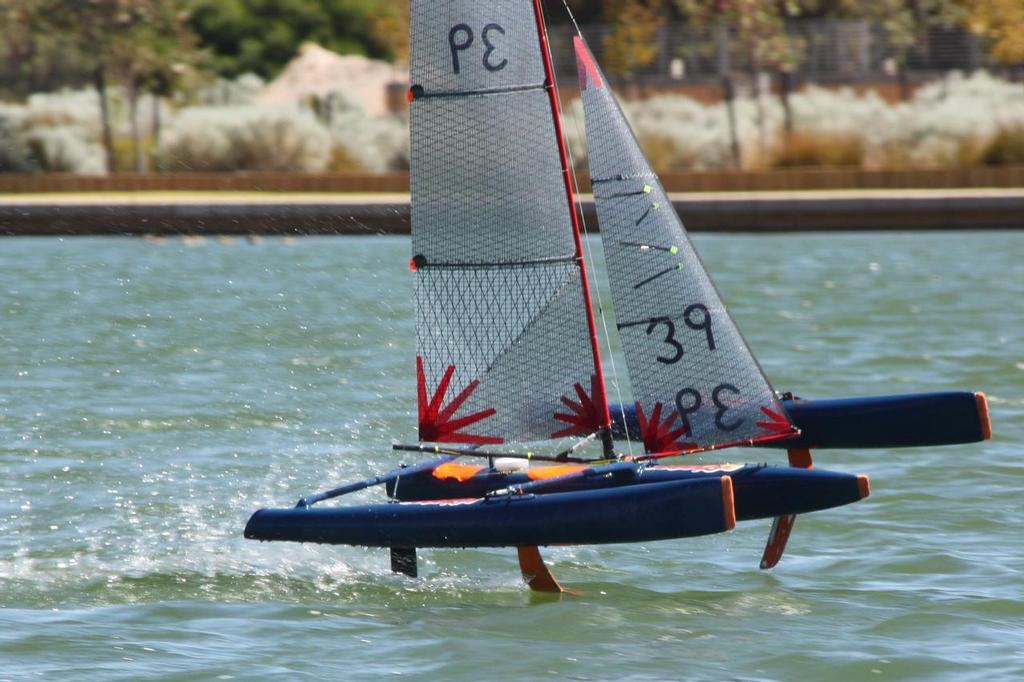 trimaran hydrofoil sailboat